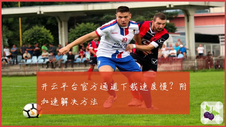开云平台官方通道下载速度慢?附加速解决方法