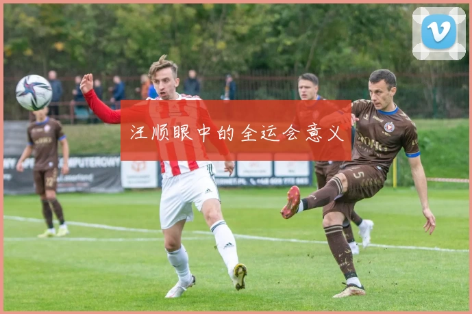 汪顺眼中的全运会意义