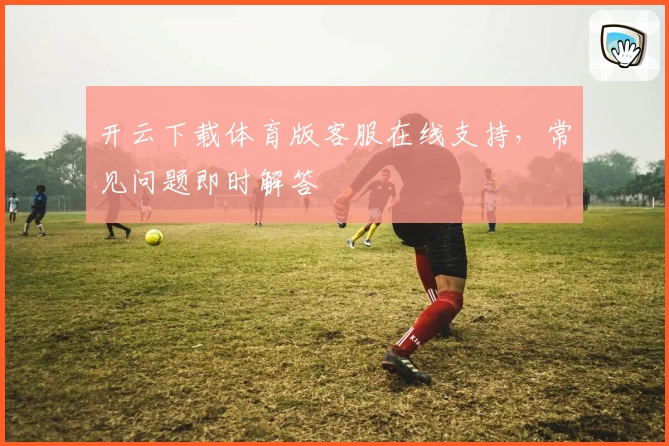 开云下载体育版客服在线支持，常见问题即时解答